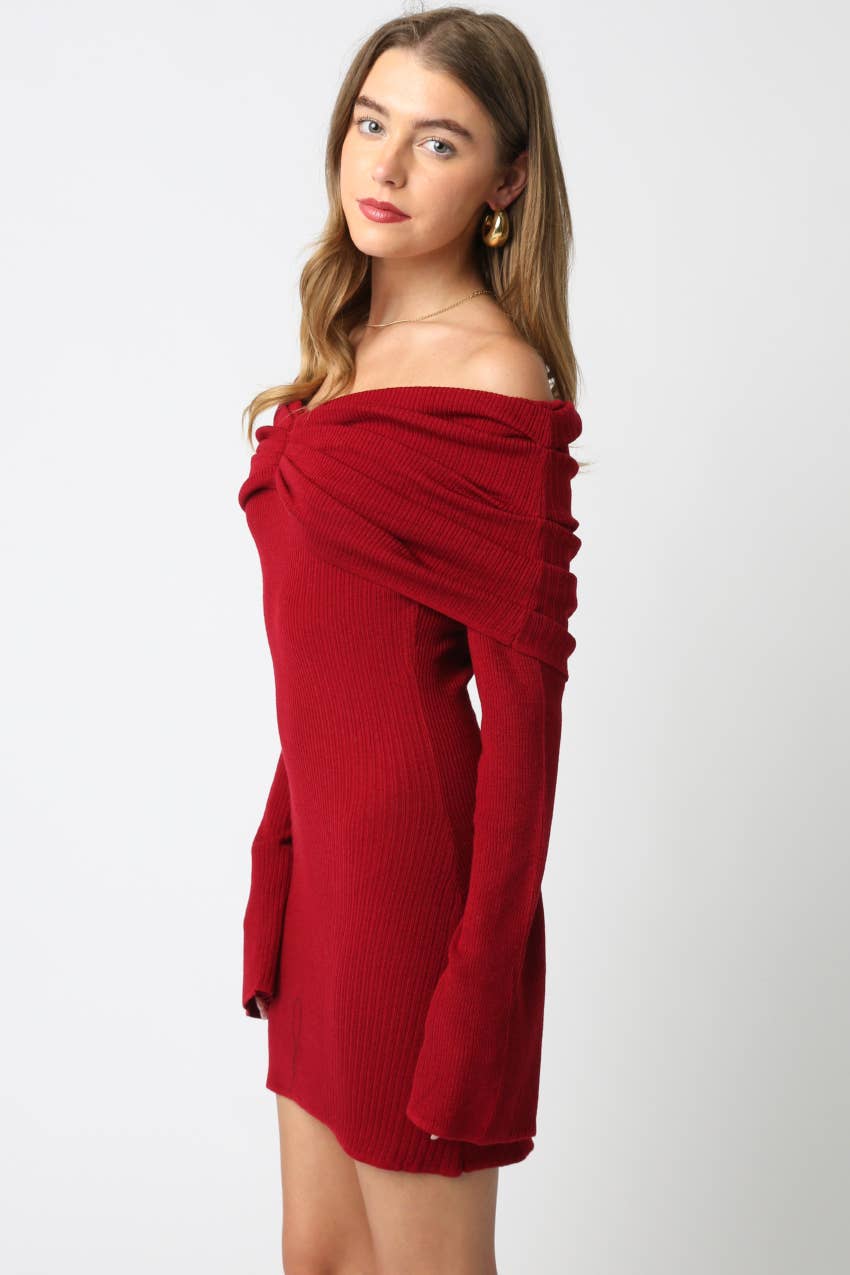 Rubi Knit Mini Dress