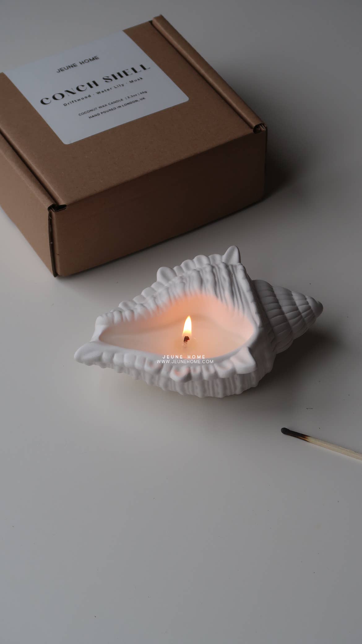 Conch shell scented candle | Summer decor 