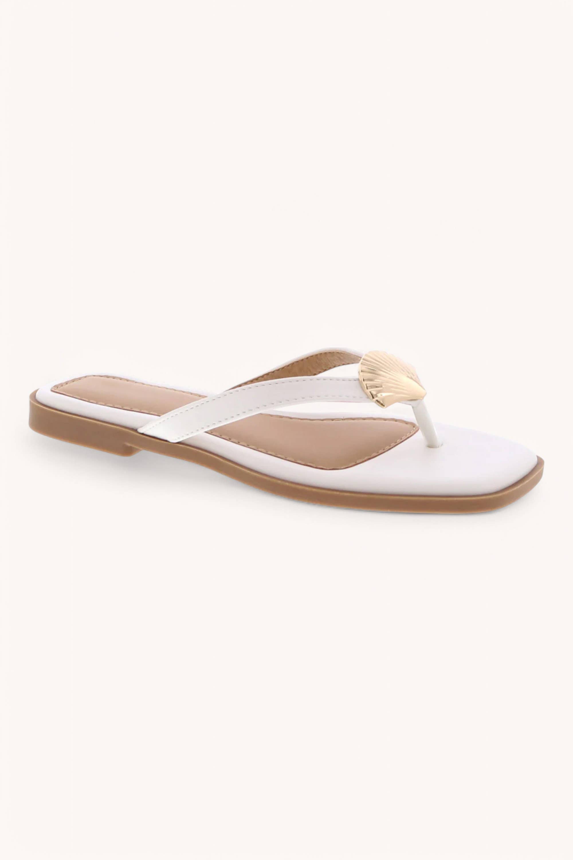 DOHA-9 GOLDEN SHELL DECOR THONG STRAP SANDALS