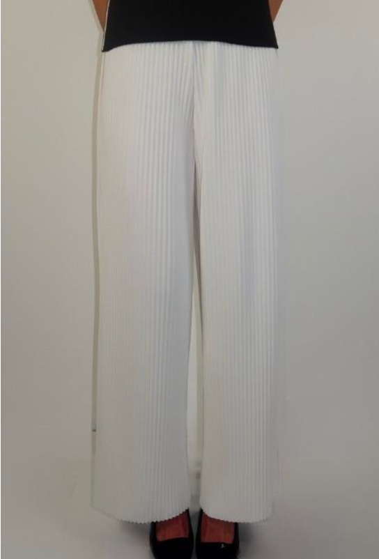 Pleated Pant