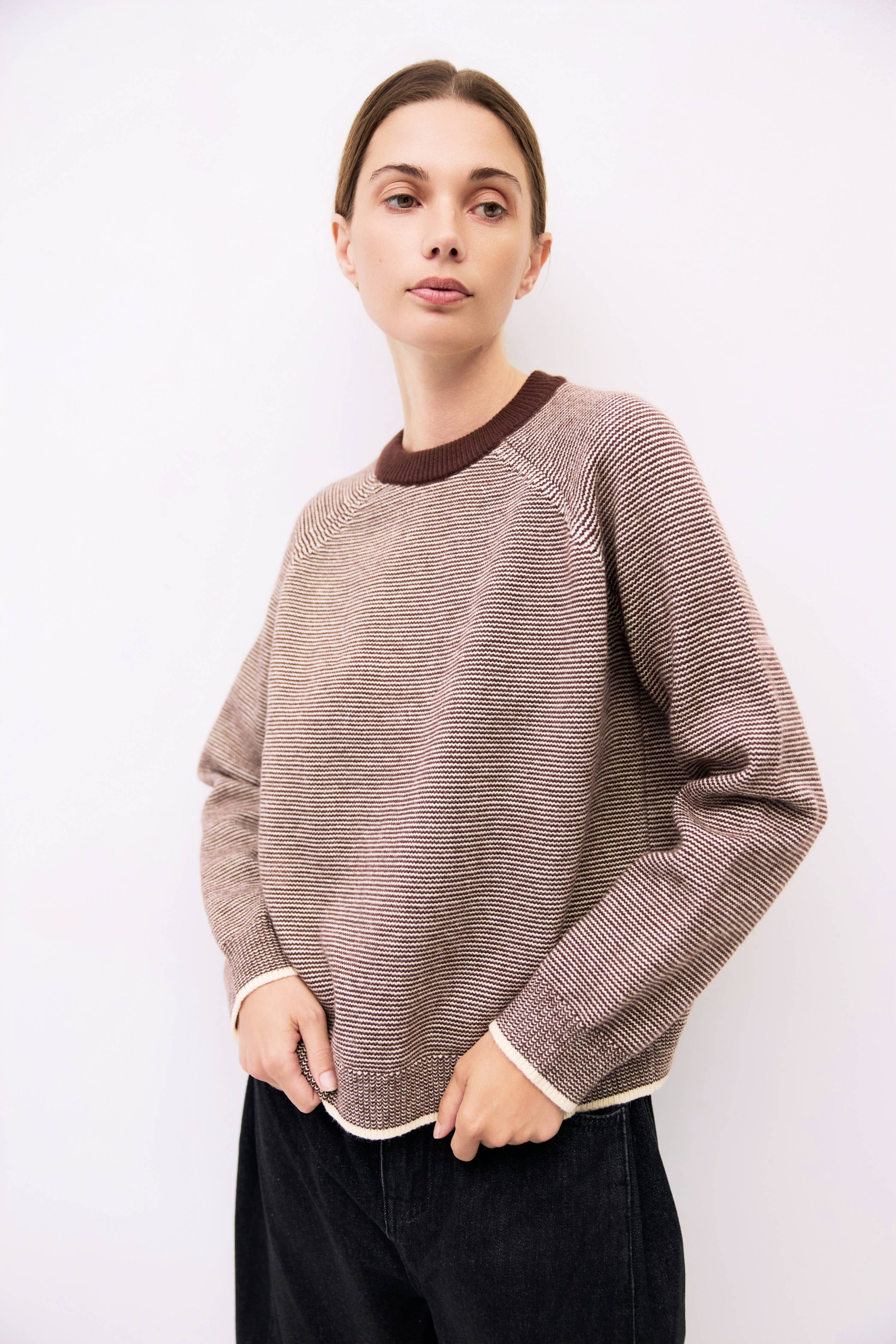 The Jae Sweater | Striped Relaxed Knit Crewneck Sweater