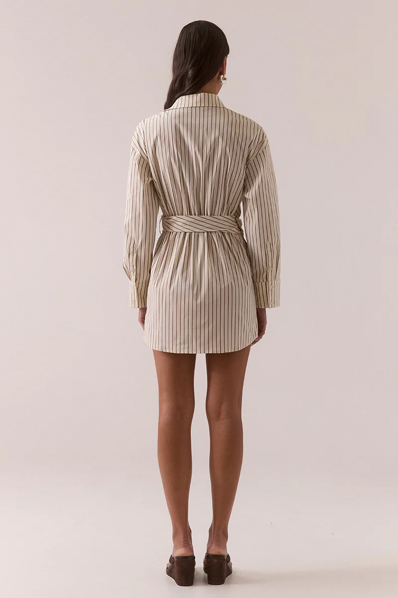TAVEN SHIRT DRESS