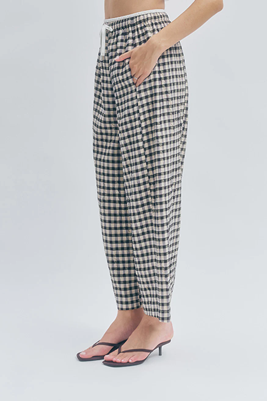 ARI PANT